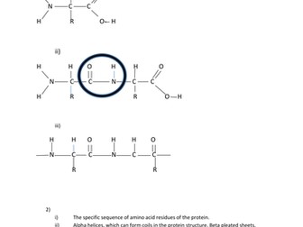 Proteins: levels of structure, types, and functions. Answers