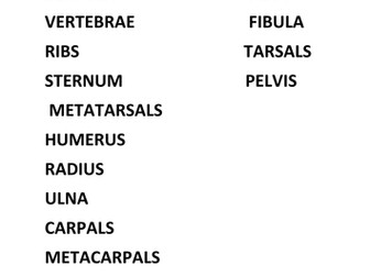 GCSE PE new 2016 specification Edexcel - The Skeletal System (2 lessons)