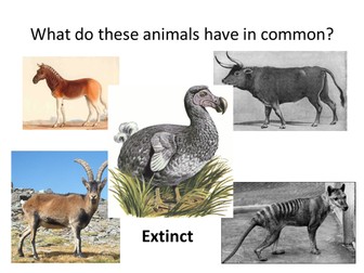 KS3 ecology_ extinction and conservation