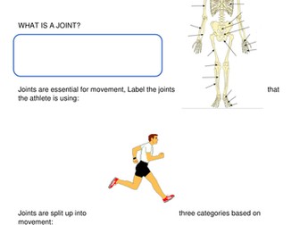 GCSE PE Skeletal system: Joints worksheet