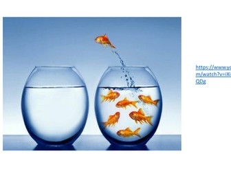 Challenge...Solo Taxonomy.....The Pit