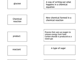 Year 8 Respiration Topic