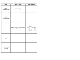 Year 8 Food and Digestion Topic