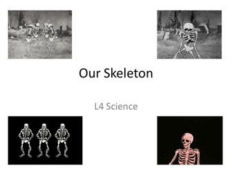 Year 8 Skeleton and Muscles Topic