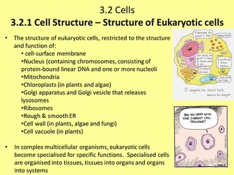 NEW AQA AS 3.2.1 Cell Structure, 3.2.2 Cells from Other Cells, 3.2.3 Transport across Membranes