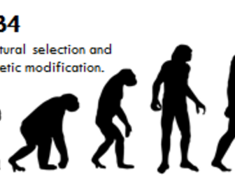 CB4 - learning outcome sheet, exit ticket tracker, assessment and 10 lessons