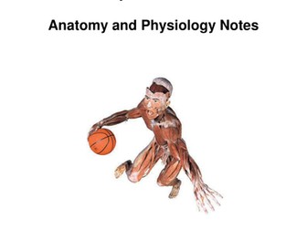 A Level Pe Lesson Bundle Respiratory System Altitude Amp Gaseous Exchange By Gdk85 Teaching