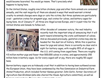 National Reading Test Practice Paper - Battery Chicken Farming