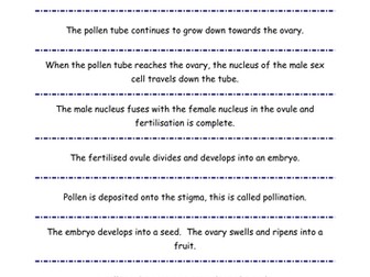 Sexual Reproduction in Plants KS3