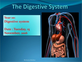 Digestive system with worksheet and ppt  and past paper questions