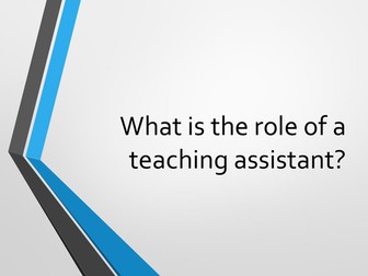 Role of the Teaching Assistant