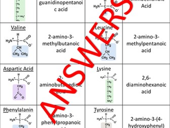 AQA A Level 3.3.13 Amino Acids, Proteins and DNA