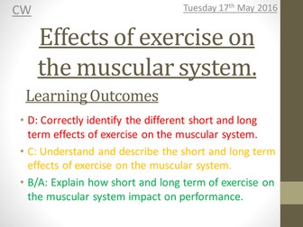 OCR 1-9 GCSE PE Muscular system unit of work / scheme of learning