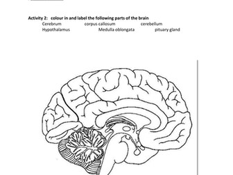 Organisation of the Nervous System (new OCR)