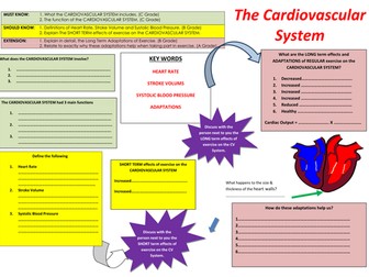 Edexcel GCSE PE (A-C) Cardiovascular System