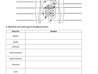 B1 and B2 revision