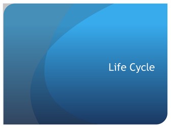 Life cycle
