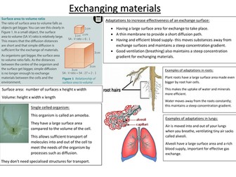 Exchanging materials revision sheet