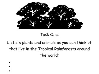 Rainforest Workbook