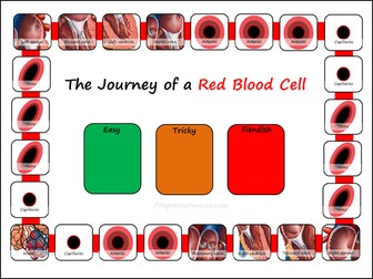 Circulatory System Board Game | Journey of a Red Blood Cell Biology Activity