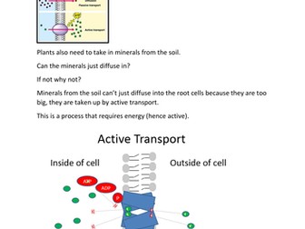 Key concepts in biology