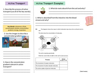 NEW AQA B1 - Diffusion and Active Transport