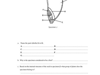 Seed Structure and Function