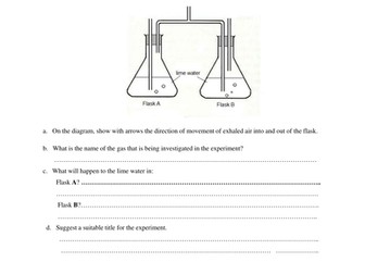 Comparison Between Inhaled Air and Exhaled Air