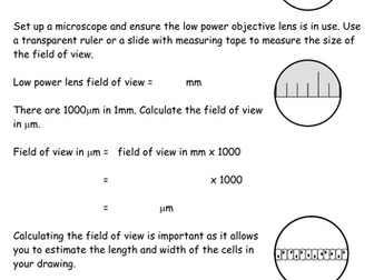 Microscopes: Field of view & magnification