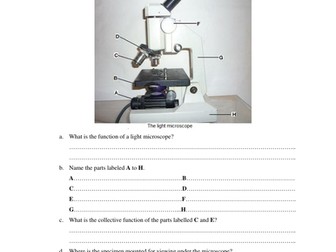 The Light Microscope, Its Parts and Functions