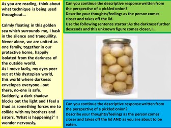 Mini descriptive SOL New Spec Language Paper 2 writing