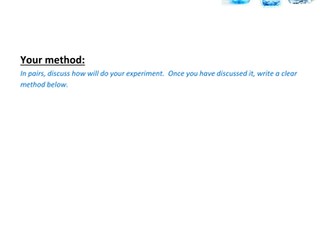 Red Cabbage Indicator Investigation Lesson