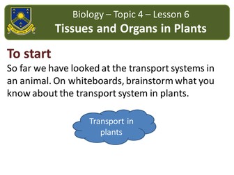 B4.6 - Tissues and Organs in Plants