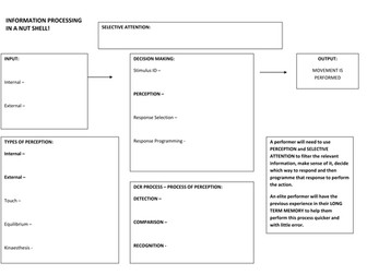 AQA A Level PE - Information Processing worksheet