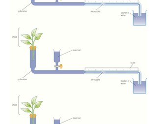 B4.9 - Factors affecting Transpiration