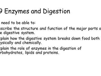 NEW AQA AS Biology 6.9 Enzymes and Digestion