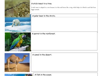 Adaptation Homework/ Worksheet (Living things in their habitat)