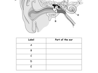 Sound Lesson 4 - Detecting Sound (to compliment Activate SOW)