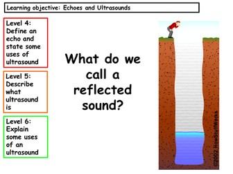 Sound lesson 5 - Echoes and ultrasound (Activate Y7 SOW)