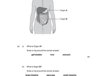 B2 GCSE Biology AQA Enzyme revision exam questions plus mark scheme