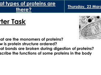 AQA AS Biology Section 1: Proteins and Enzymes