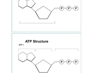 AQA AS Level Biology Section 1: ATP