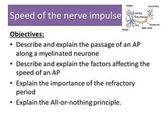 Factors affecting speed of an action potential. New A level Biology AQA