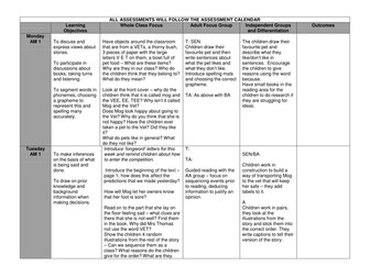 Year 2 Mog and the VET planning