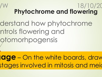 A-Level Biology B Edexcel – Topic  Phytochrome and Flowering