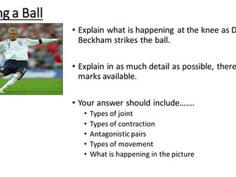 Kicking a Ball Long Answer Movement Analysis AQA GCSE PE (1-9)