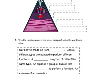 AQA GCSE New 2016 Organisation in humans accelerated or revision materials