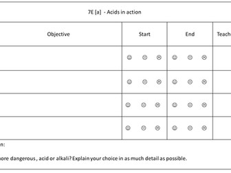 Lesson objectives year7