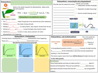 B4 BIOENERGETICS  revision poster (Trilogy)