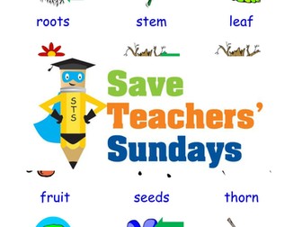 Plants and Trees EAL/ESL Worksheets, Games, Activities and Flash Cards (with audio)